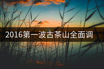 2016第一波古茶山全面調(diào)研第四站——臨滄·大雪山、小戶賽