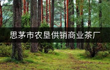 思茅市農(nóng)墾供銷(xiāo)商業(yè)茶廠(chǎng)