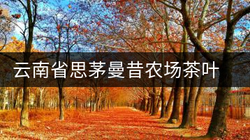 云南省思茅曼昔農(nóng)場(chǎng)茶葉加工廠