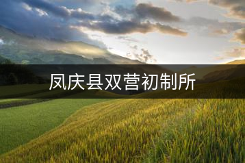 鳳慶縣雙營(yíng)初制所