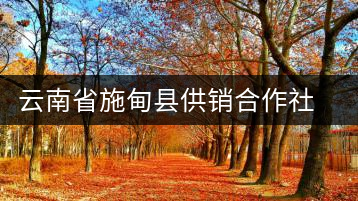 云南省施甸縣供銷(xiāo)合作社萬(wàn)興茶廠(chǎng)