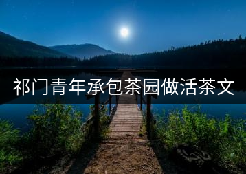 祁門青年承包茶園做活茶文章 創(chuàng)業(yè)之路越走越寬