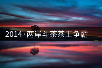 2014·兩岸斗茶茶王爭霸賽茶人觀點