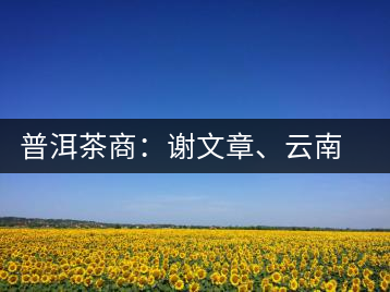 普洱茶商：謝文章、云南谷申商貿(mào)有限公司總經(jīng)理