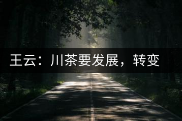 王云：川茶要發(fā)展，轉(zhuǎn)變思想是關(guān)鍵