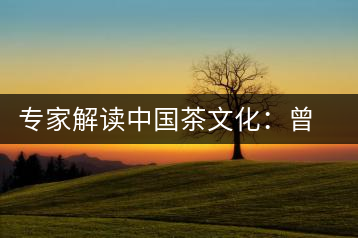 專家解讀中國茶文化：曾征服征服沙皇