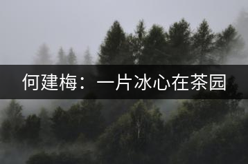 何建梅：一片冰心在茶園
