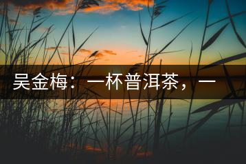 吳金梅：一杯普洱茶，一份云南情