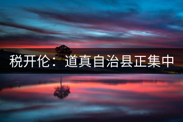 稅開倫：道真自治縣正集中力量打造“中國硒鍶茶鄉(xiāng)”