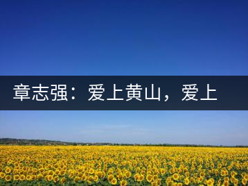 章志強(qiáng)：愛上黃山，愛上黃山的茶