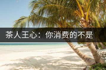 茶人王心：你消費的不是茶，是我