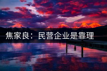 焦家良：民營(yíng)企業(yè)是靠理想信念而活著