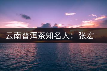 云南普洱茶知名人：張宏達(dá)