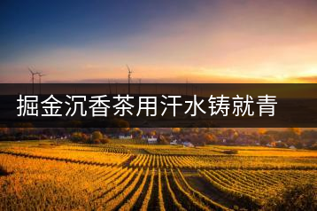 掘金沉香茶用汗水鑄就青春夢想