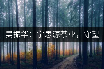 吳振華：寧思源茶業(yè)，守望家鄉(xiāng) 做好“金獎茶王”