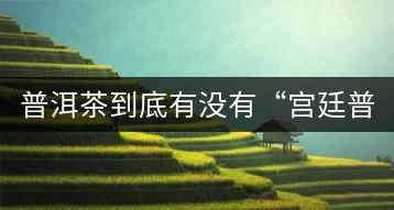 普洱茶到底有沒有“宮廷普洱”一說？它到底是什么？