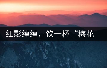 紅影綽綽，飲一杯“梅花”醉
