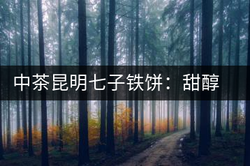 中茶昆明七子鐵餅：甜醇甘潤(rùn)，陳韻綿長(zhǎng)