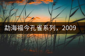 勐海福今孔雀系列，2009年尊享青餅