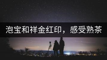 泡寶和祥金紅印，感受熟茶之美。