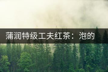 蒲潤(rùn)特級(jí)工夫紅茶：泡的方便，喝的舒適