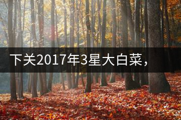 下關(guān)2017年3星大白菜，好茶從未中斷