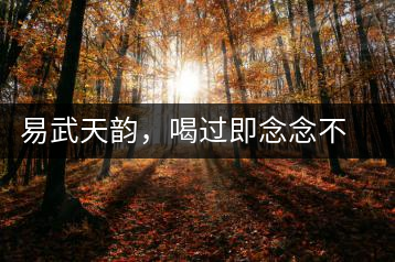 易武天韻，喝過(guò)即念念不忘的茶中皇后