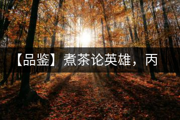 【品鑒】煮茶論英雄，丙申年易武麻黑