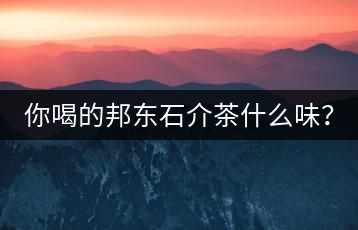 你喝的邦東石介茶什么味？