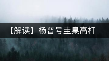 【解讀】楊普號(hào)圭臬高桿茶：形高、氣足、韻遠(yuǎn)的一款茶