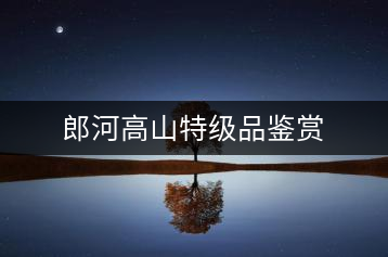 郎河高山特級(jí)品鑒賞