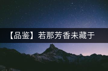 【品鑒】若那芳香未藏于樟野，怎會這般獨具韻味？