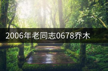 2006年老同志0678喬木熟茶開(kāi)湯品鑒