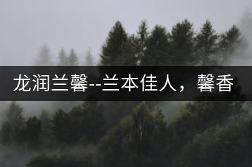 龍潤(rùn)蘭馨–蘭本佳人，馨香高雅
