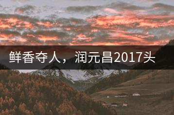 鮮香奪人，潤(rùn)元昌2017頭采小青柑即將上市