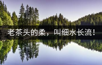 老茶頭的柔，叫細(xì)水長流！