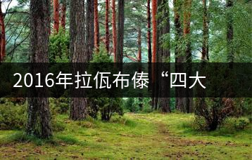 2016年拉佤布傣“四大名普”之拉祜神茗上市