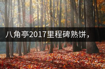 八角亭2017里程碑熟餅，自先發(fā)酵而后愛人