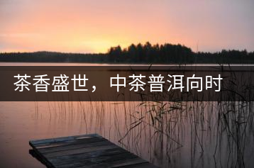 茶香盛世，中茶普洱向時(shí)代獻(xiàn)禮