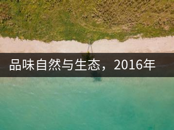 品味自然與生態(tài)，2016年勐傣“大雪山古樹茶”