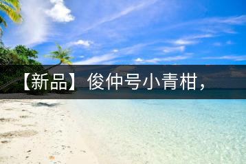 【新品】俊仲號小青柑，青果來傾城