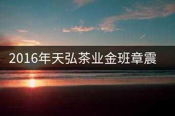 2016年天弘茶業(yè)金班章震撼上市！