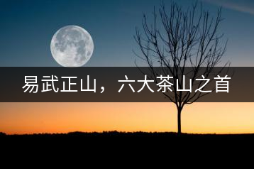 易武正山，六大茶山之首