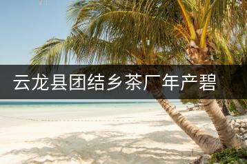 云龍縣團結(jié)鄉(xiāng)茶廠年產(chǎn)碧螺春茶２５噸