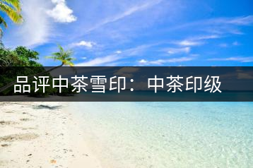 品評中茶雪?。褐胁栌〖壊璧慕?jīng)典傳承