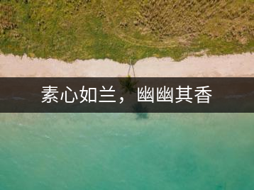 素心如蘭，幽幽其香