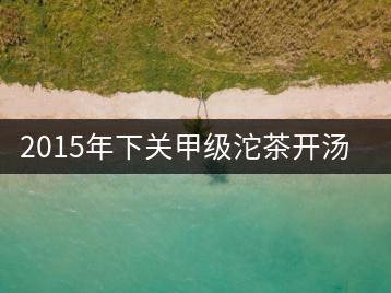2015年下關(guān)甲級(jí)沱茶開湯品鑒