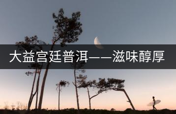 大益宮廷普洱——滋味醇厚，陳香濃郁