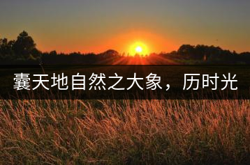 囊天地自然之大象，歷時(shí)光十載流轉(zhuǎn)-皇茶一號(hào)