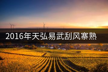 2016年天弘易武刮風(fēng)寨熟茶一泡耐人尋味！